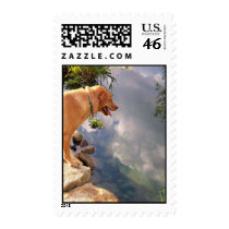 Reflection postage by ScottMDuncan Reflection postage