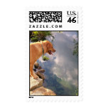 Reflection postage