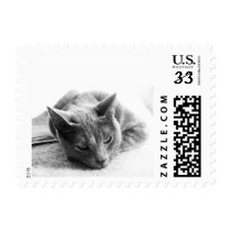 Reflection postage