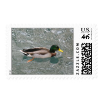 Reflection postage