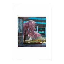 reflection posters by slader48 reflection posters