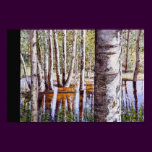Reflection with Birch Tree