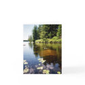 "Reflections at the Lake" cards by GinieMurf "Reflections at the Lake" cards