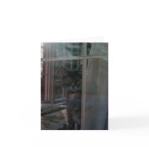 Reflections Blank Note Card
