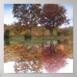 Reflections Canvas Poster