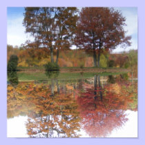 Reflections Canvas posters