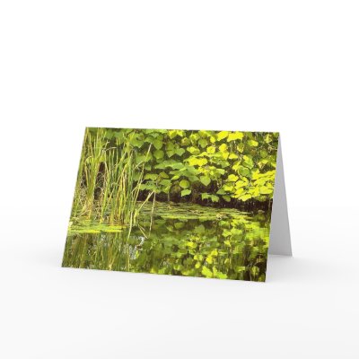 Reflections Greeting Card by Tsalagi56