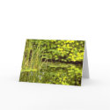 Reflections cards by Tsalagi56 Reflections cards