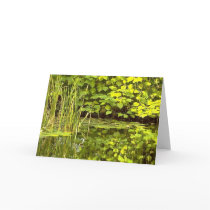 Reflections cards