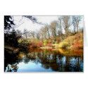 reflections cards