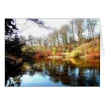 reflections cards
