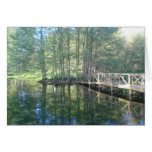 Reflections Greeting Cards Reflections Greeting Cards