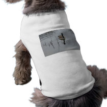 Reflections pet clothing