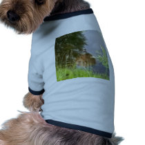 Reflections pet clothing