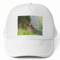 Reflections hats