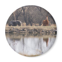 Reflections: Horses by a Pond magnets by SuanSilverTree Reflections: Horses by a Pond magnets