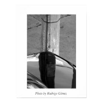 Reflections I posters by rgomez Reflections I posters