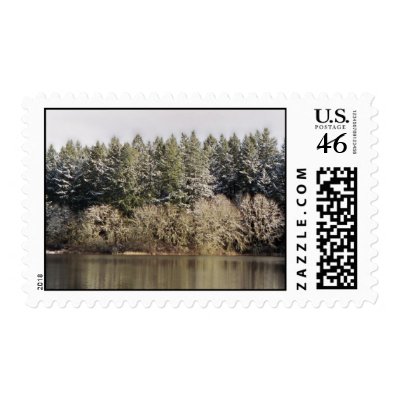 Reflections in a Golden Eye Postage Stamps by erin_kathleen