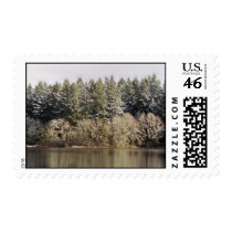 Reflections in a Golden Eye postage by erin_kathleen Reflections in a Golden Eye postage