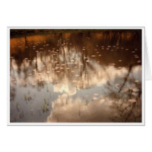 Reflections in a Pond Greeting Card