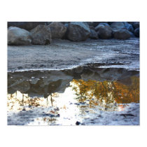 Reflections In A Puddle Nature Poster