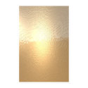 Reflections in Gold posters