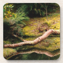 Reflections in the park beverage coaster