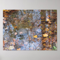 Reflections in the Water Poster Prints posters