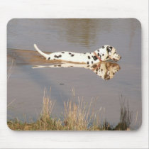 Reflections in the waterhole mousepads