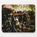 Reflections Mousepad