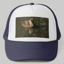 Reflections of a Ducl hats