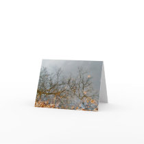 Reflections of Autumn Note Card by CarolsCamera Reflections of Autumn Note Card
