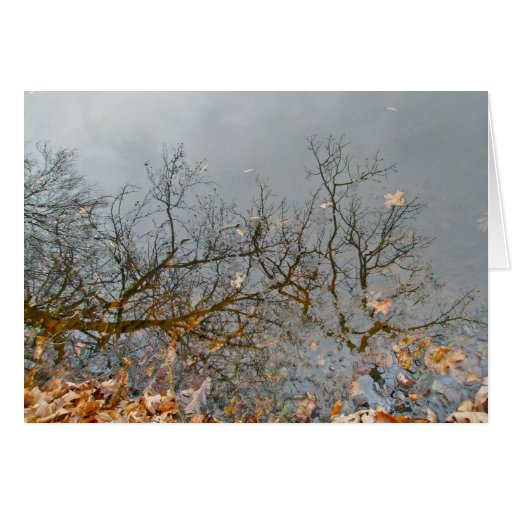 Reflections of Autumn Note Card