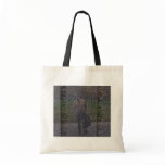 Reflections of Fallen Brothers bags