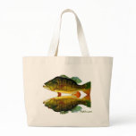 Reflections of Fish