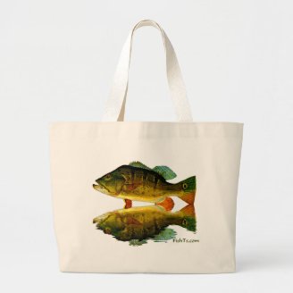 Reflections of Fish Bags