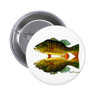 Reflections of Fish Buttons