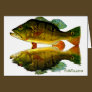 Reflections of Fish
