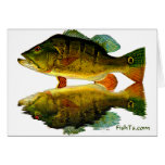 Reflections of Fish