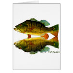 Reflections of Fish
