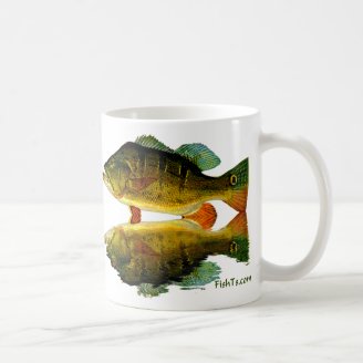 Reflections of Fish Coffee Mug