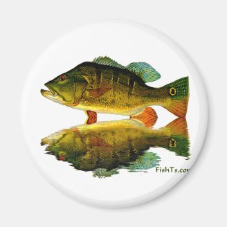 Reflections of Fish Fridge Magnet