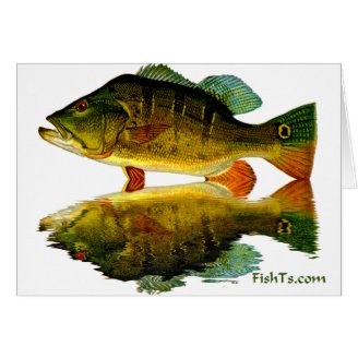 Reflections of Fish Greeting Card