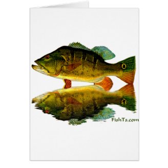 Reflections of Fish Greeting Card