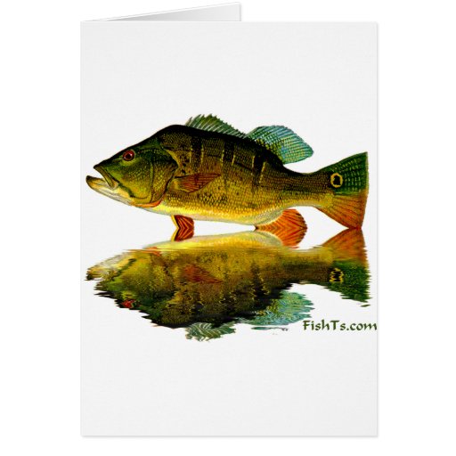 Reflections of Fish Greeting Card