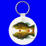 Reflections of Fish