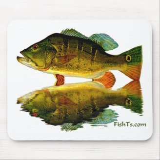 Reflections of Fish Mouse Pads