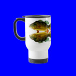 Reflections of Fish