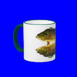 Reflections of Fish