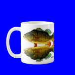 Reflections of Fish